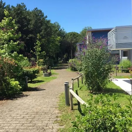 Apartment A Serene Getaway 100 M From The In