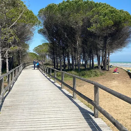 A Serene Getaway 100 M From The In Apartment *